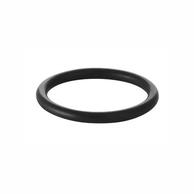 Újdonság Install InoxPress EPDM "O" gyűrű 28