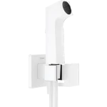 Vedd meg online Hansgrohe Bidé kézizuhany 1jet E EcoSmart+ hideg vízhez zuhanytartóval és 125 cm-es tömlővel 29231700