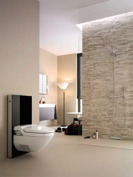 Biztonságos vásárlás Geberit Monolith szerelőmodul AquaClean 8000/8000 plushoz fekete üveggel, 101 cm magas 131.024.SJ.1Geberit