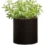 Curver Large Cylinder Planter virágtartó, Válasszon egy színt: GrafitCurver Utolsó esély