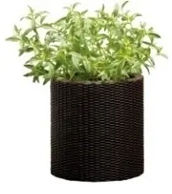 Curver Large Cylinder Planter virágtartó, Válasszon egy színt: GrafitCurver Utolsó esély