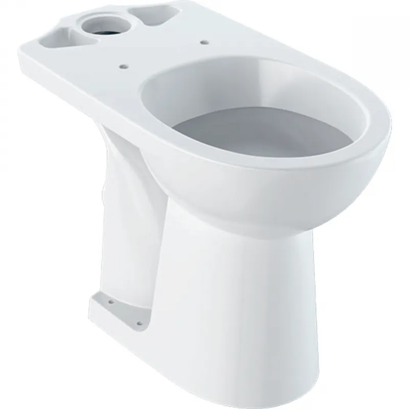 Árcsökkenés Geberit Selnova Comfort álló WC, monoblokkos kivitel, mélyöblítésű, hátsó kifolyású, magasított 500.284.01.1Geberit